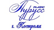 Аурусс плюс г. Кострома